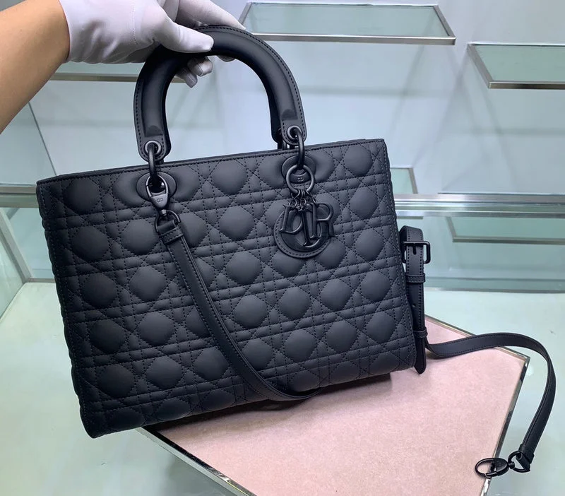 WF - Dior Bags - 506